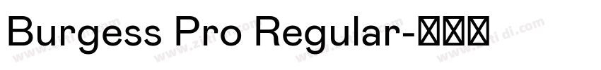 Burgess Pro Regular字体转换 Burgess Pro Regular字体转换